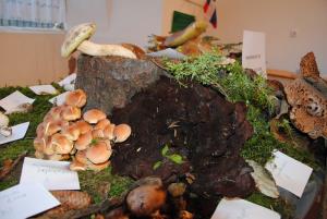 Ob gobarski evforiji je bila tudi razstava bogata 10